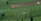 An expansive vegetable farm with neatly organized rows of crops, showing a lush green landscape. Two individuals are working in the fields, managing irrigation equipment that is currently spraying water on the plants.