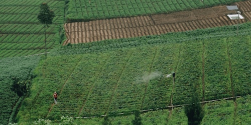 Descubre el Poder de Rendcul: La Revolución en Agricultura