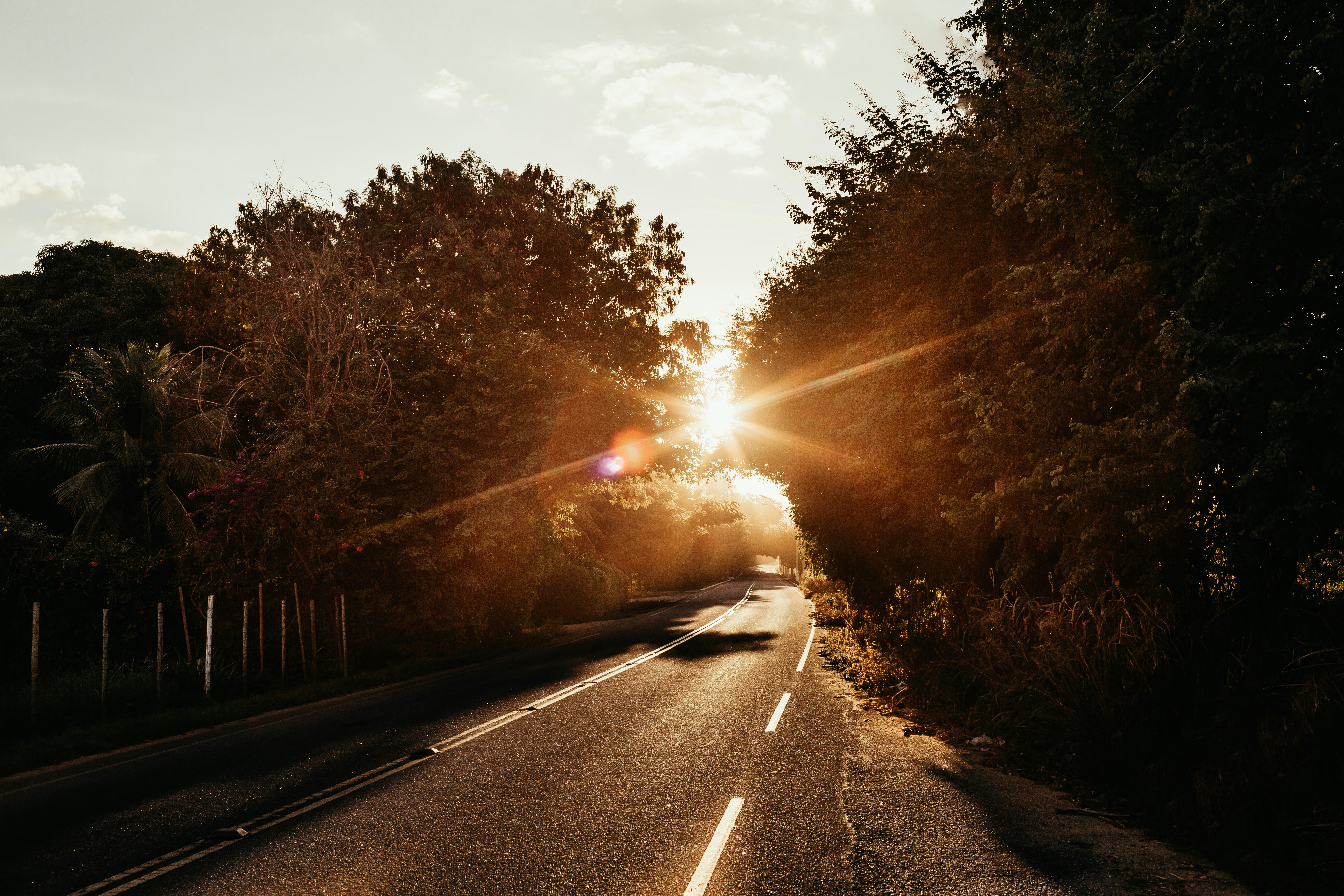 Photo by jonathanborba