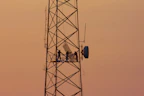 three people standing on crane tower