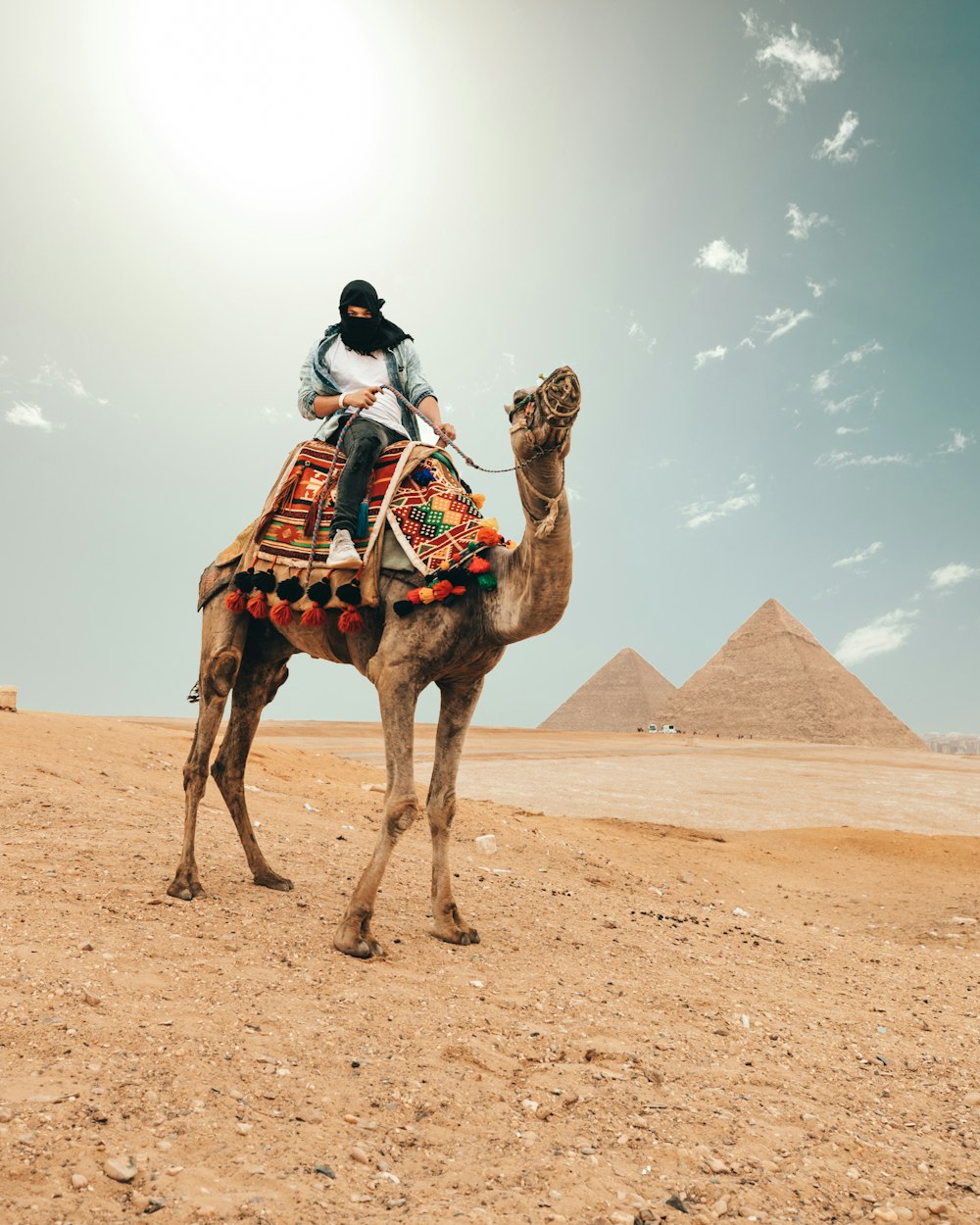 man riding camel during daytime
