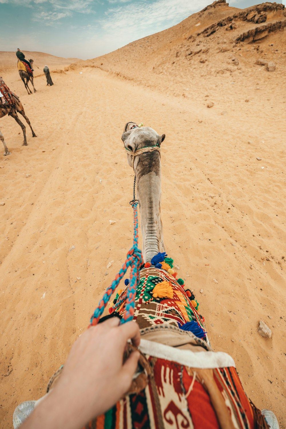 person riding camel