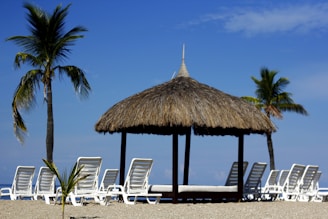 A tranquil beach scene featuring a thatched-roof gazebo surrounded by white lounge chairs. Two palm trees stand nearby, under a clear blue sky. The sandy beach and calm ocean provide a peaceful backdrop.