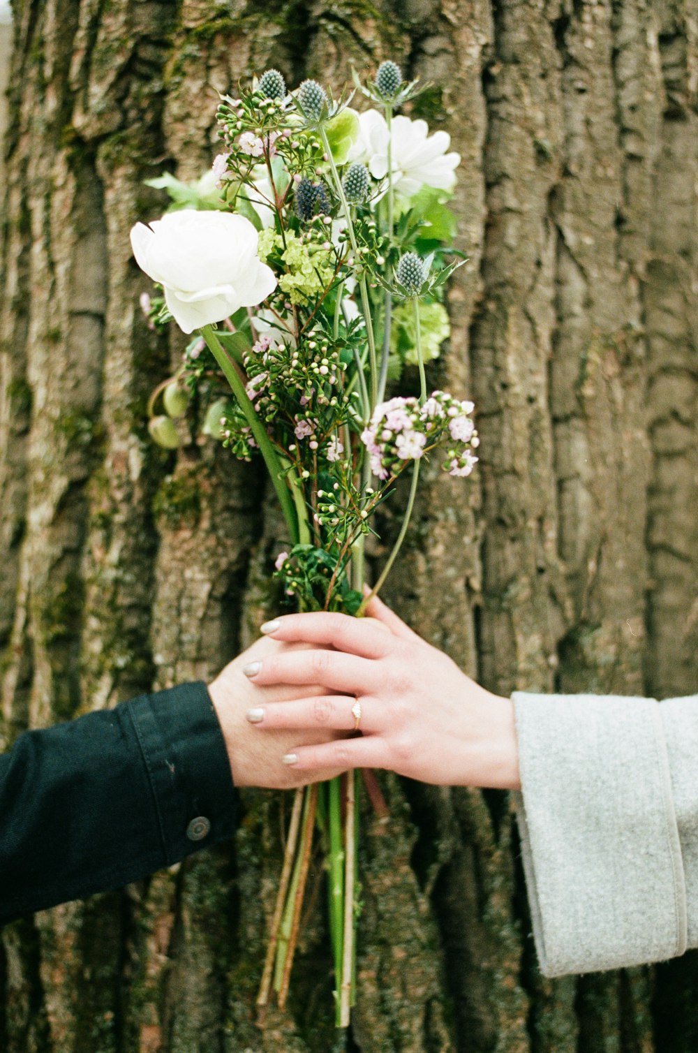 duas pessoas segurando flores de rosas brancas