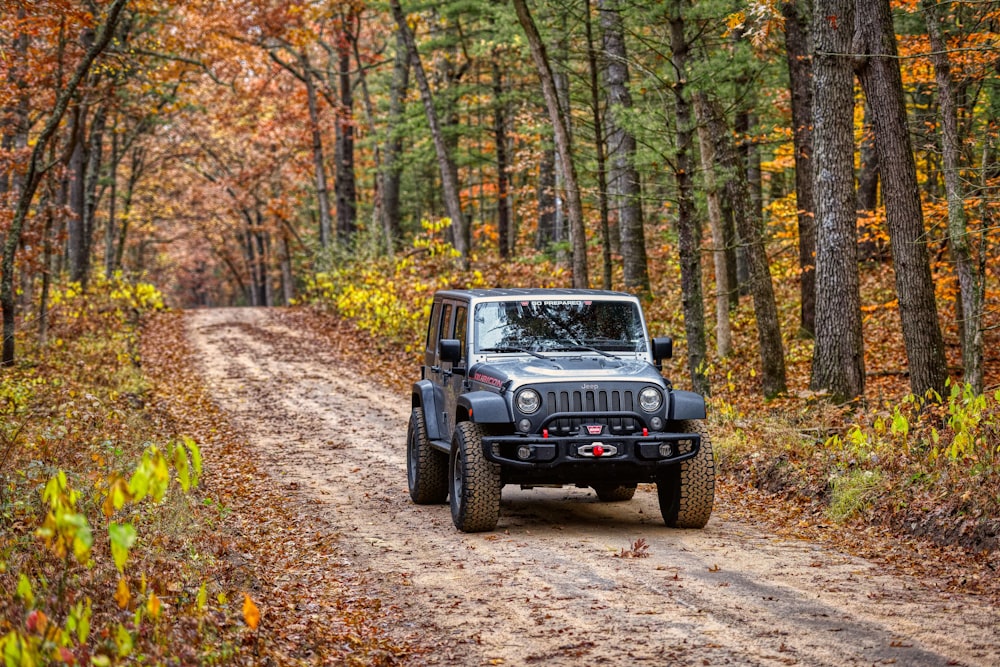 gray Jeep Wrangler near woods