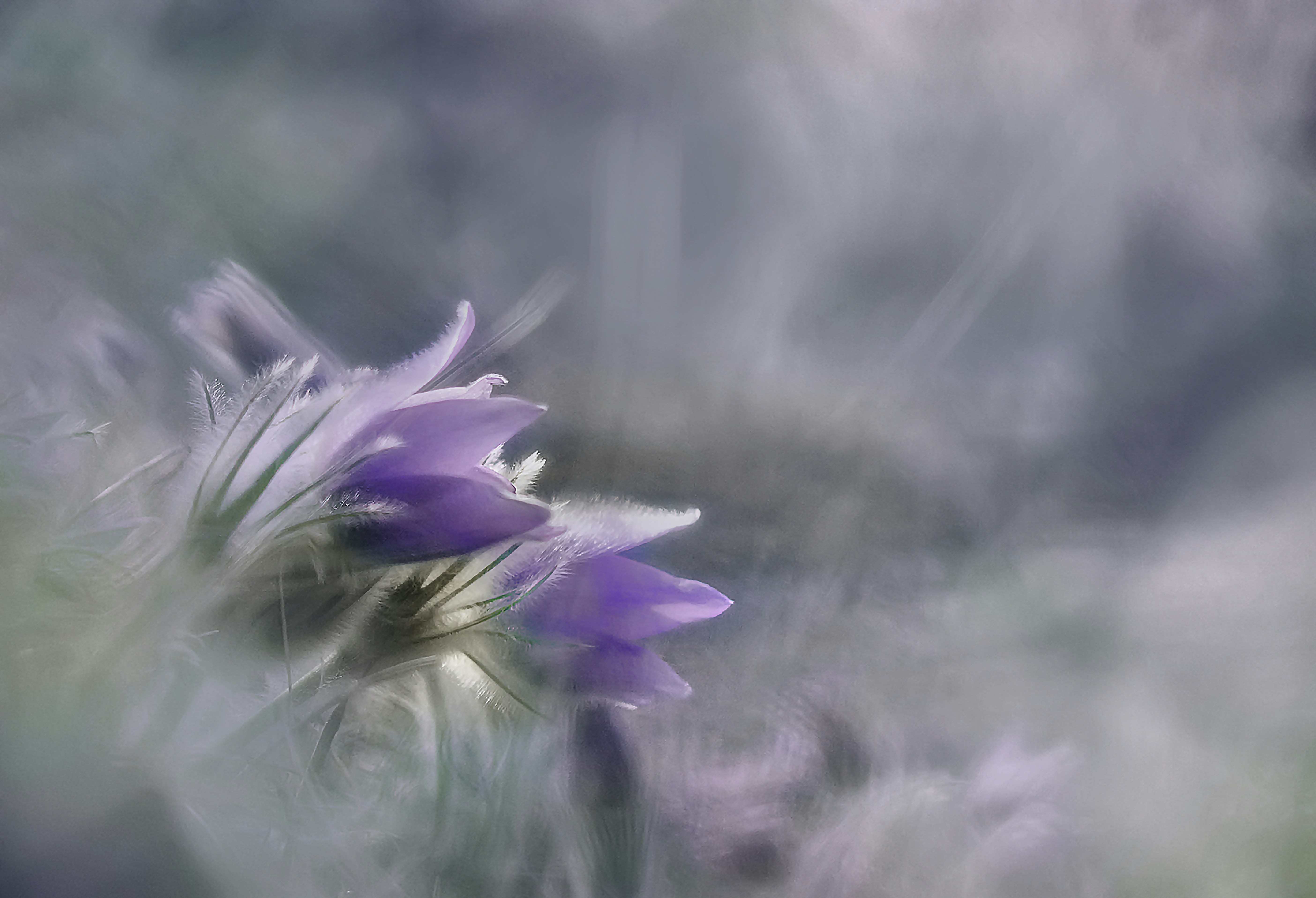 Photo by mazsoka