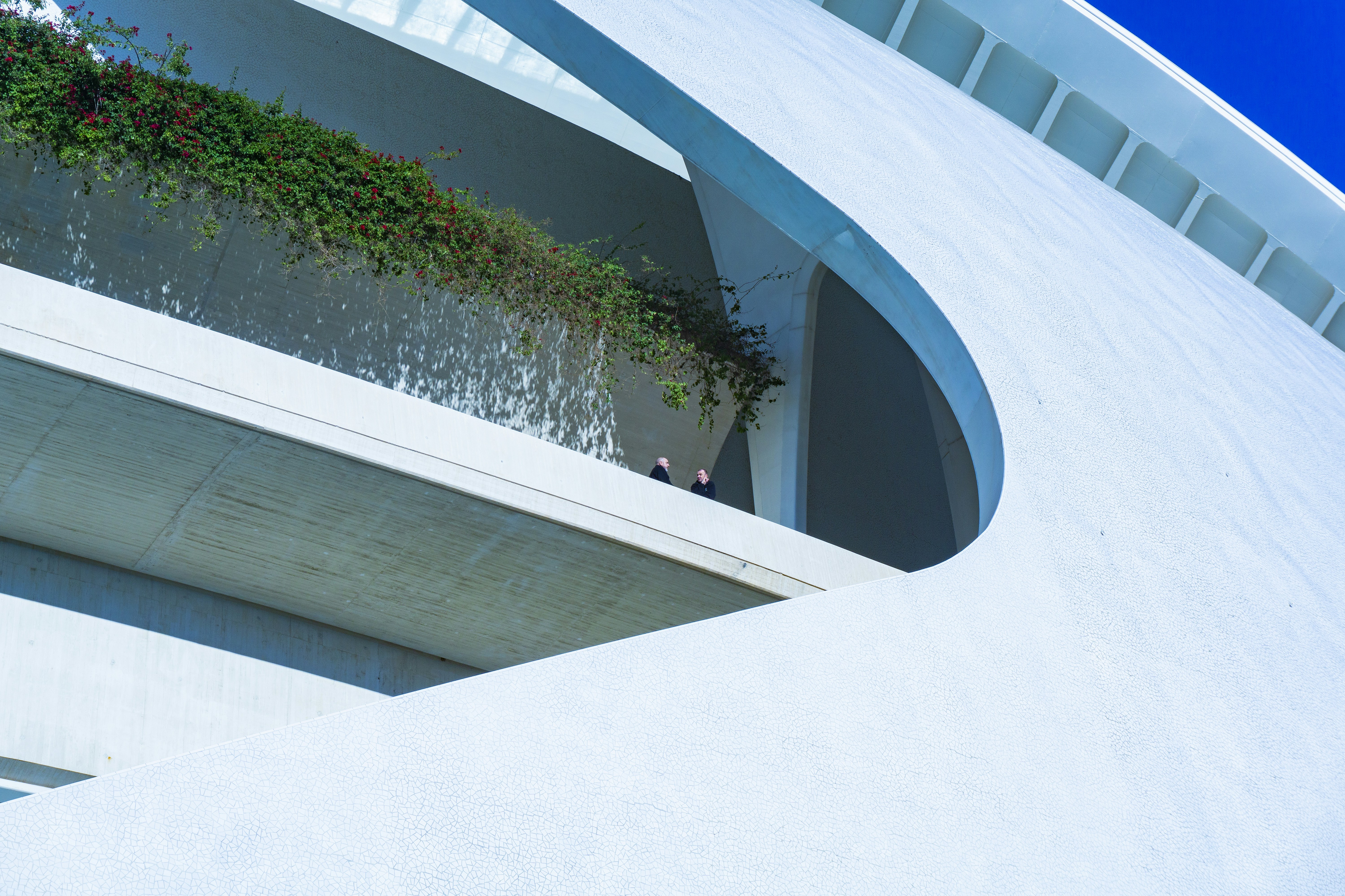 Ciudad de las Artes y las Ciencias, Valencia, Spain
