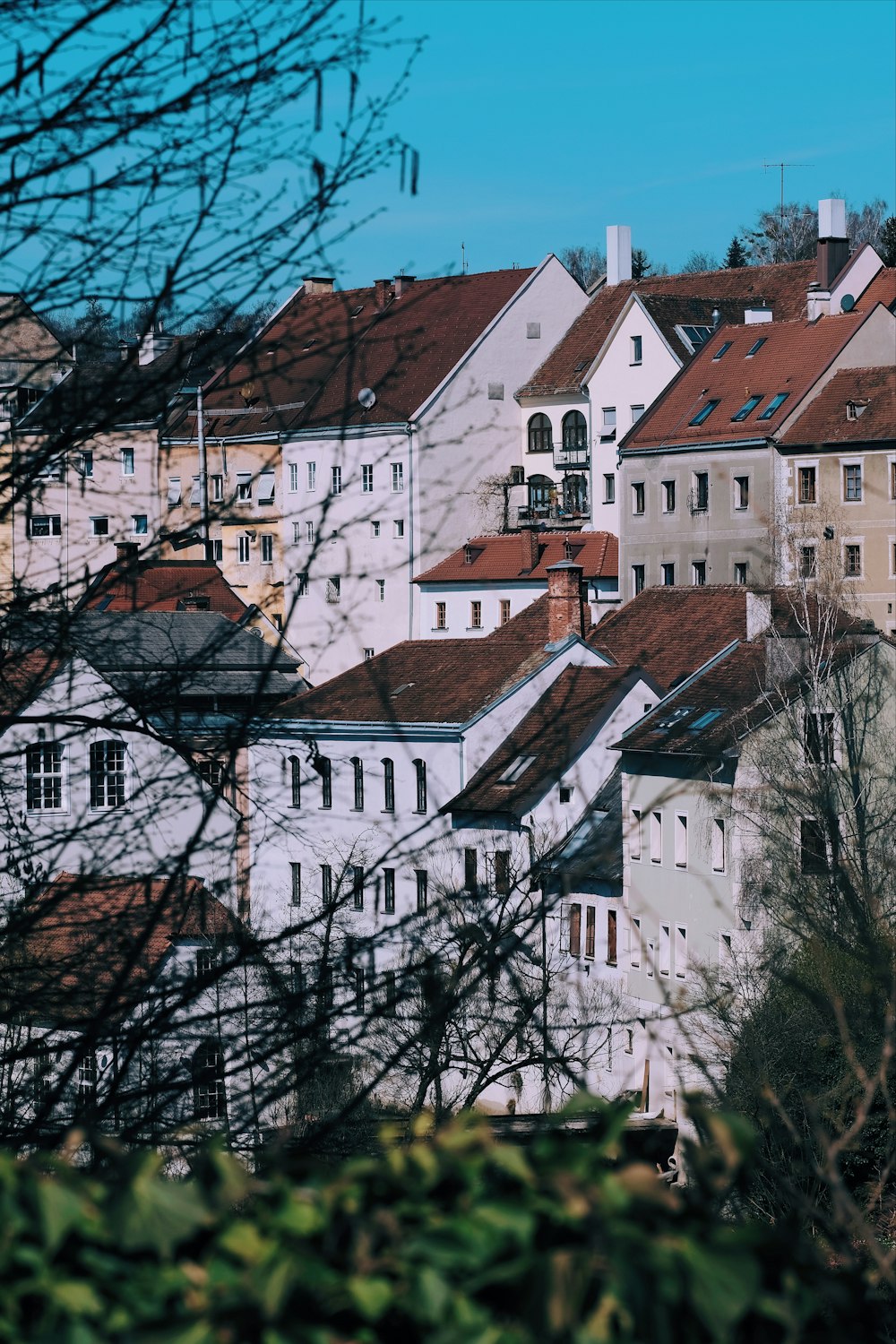 Photo aérienne d’appartements à côté d’arbres sans feuilles