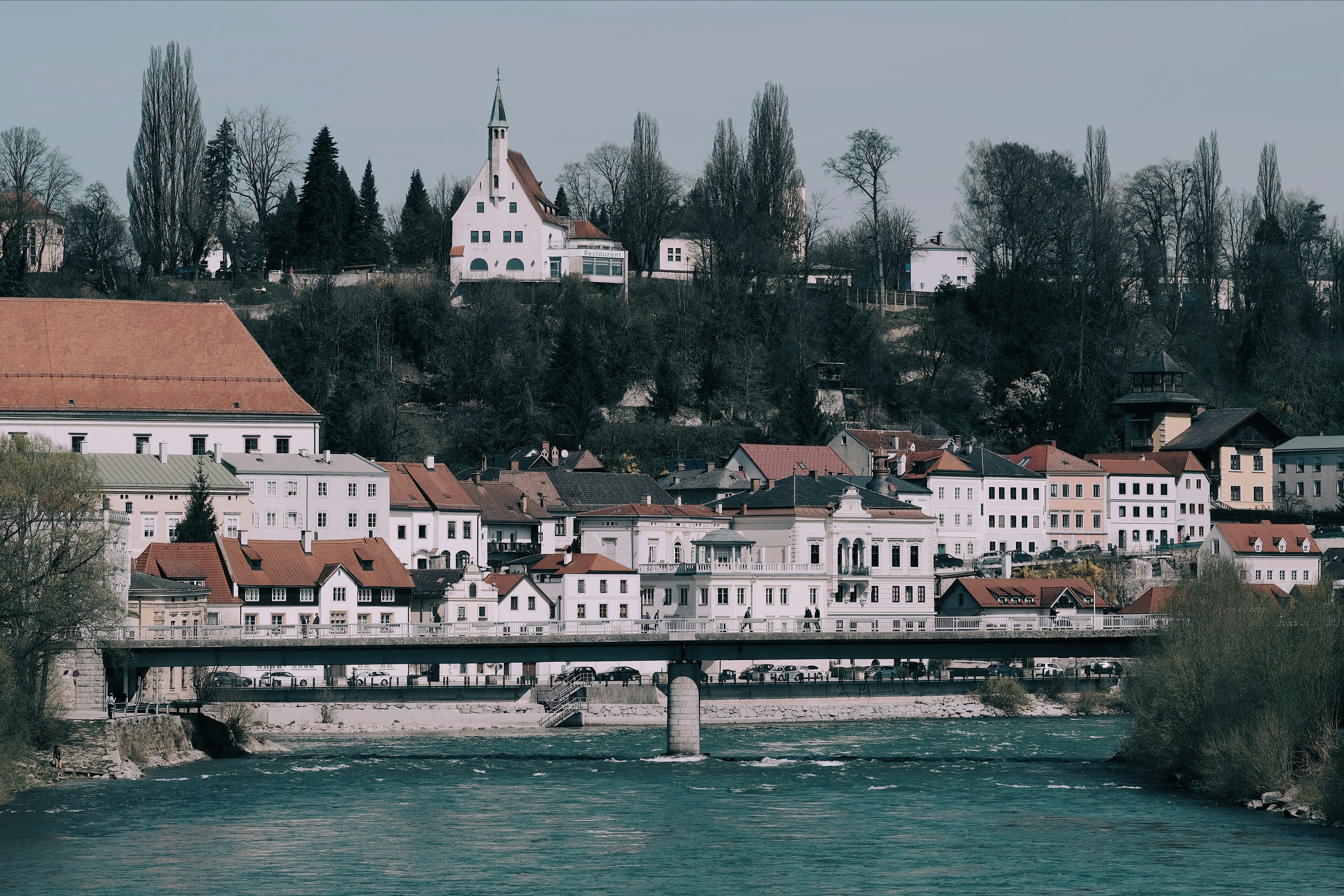 multicolored houses beside sea