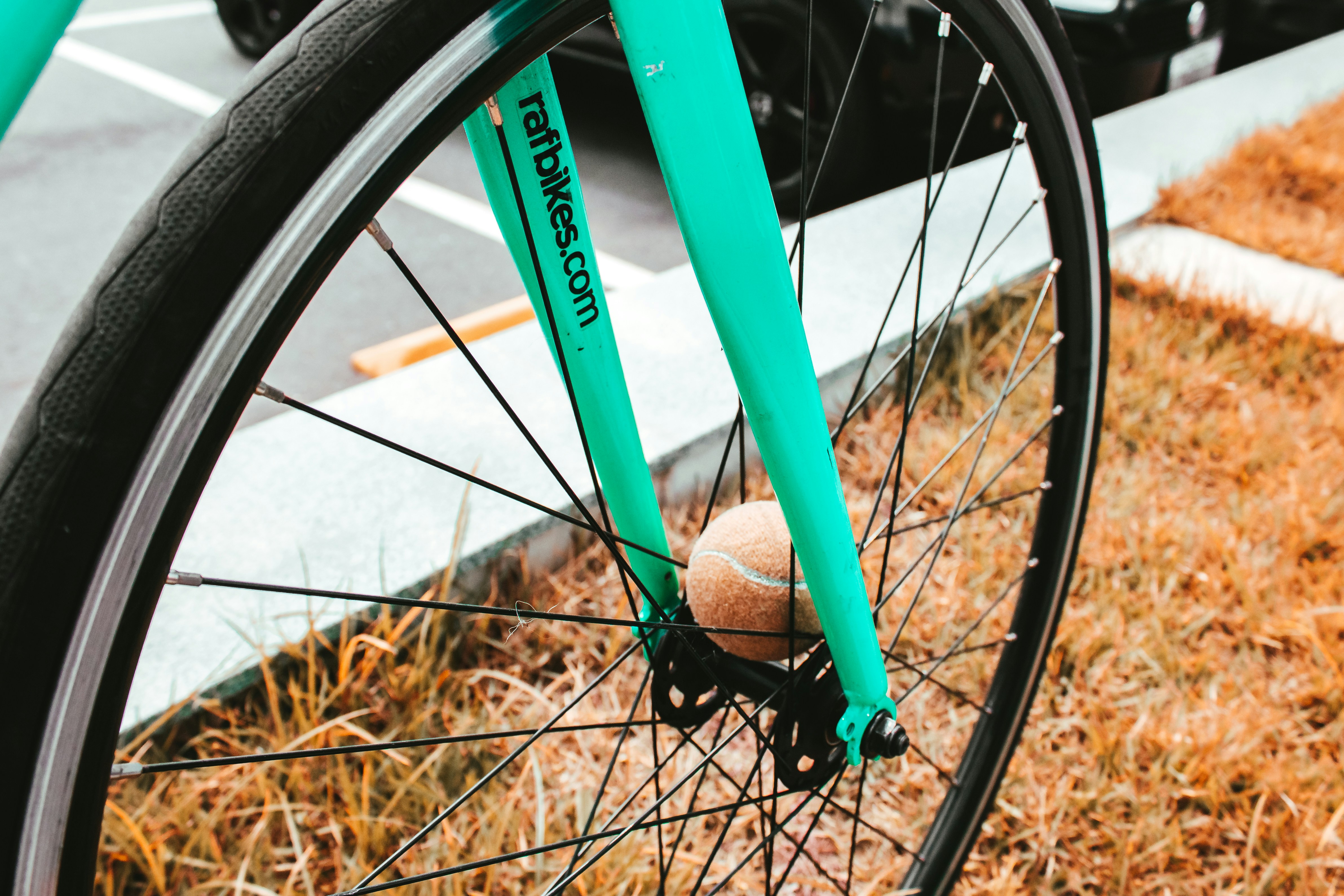 brown tennis ball on blue and black Ratbikes wheel