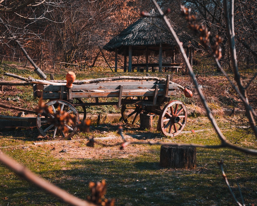 brown carriage near nipa hat