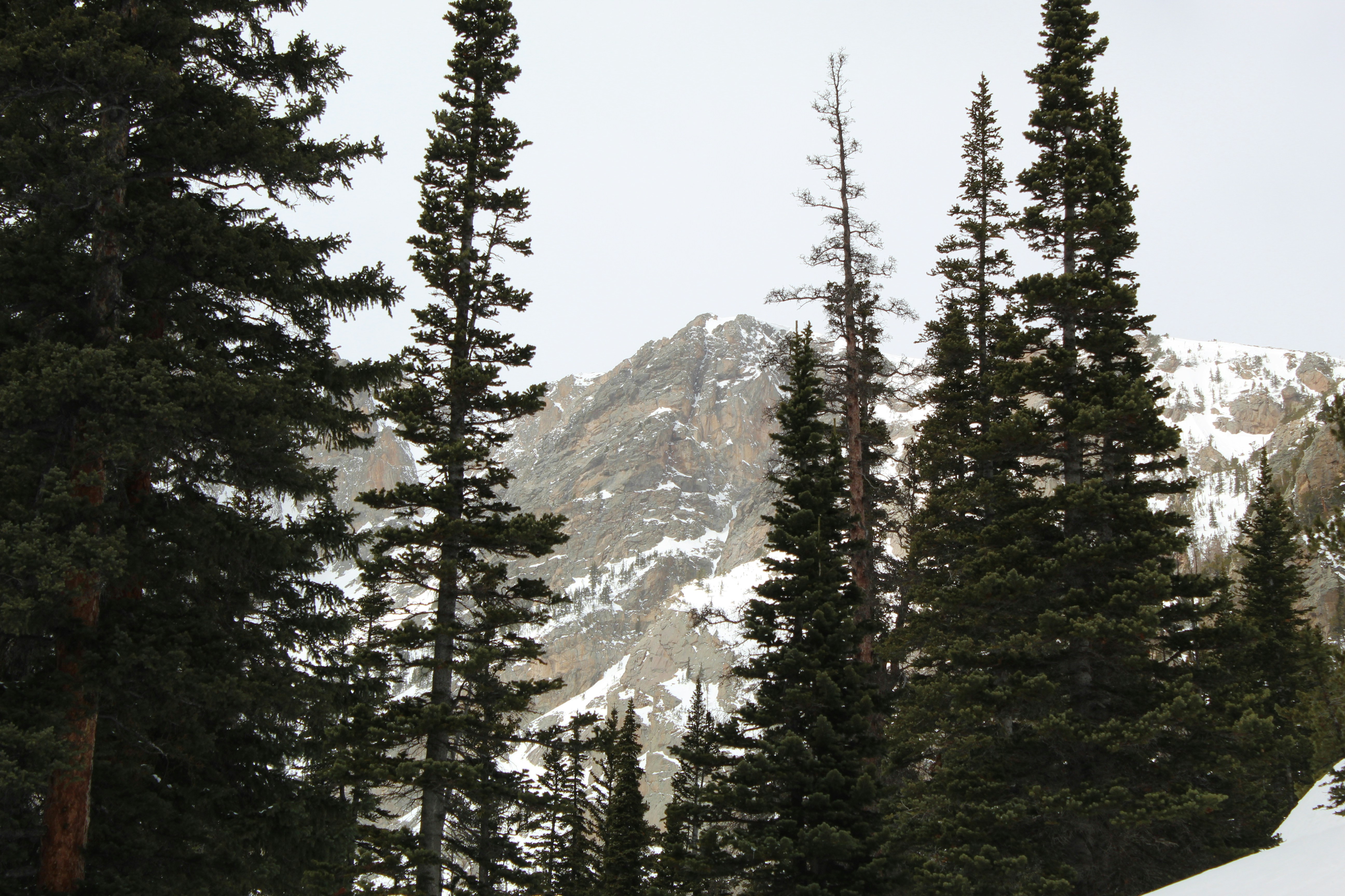 Photo by hanwallacee