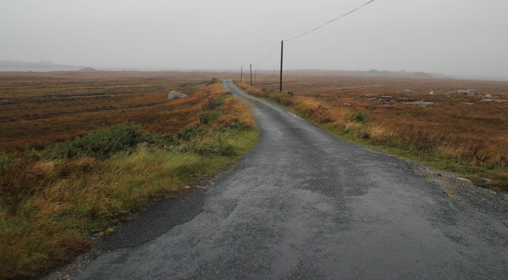 Campo de hierba cerca de Gray Road