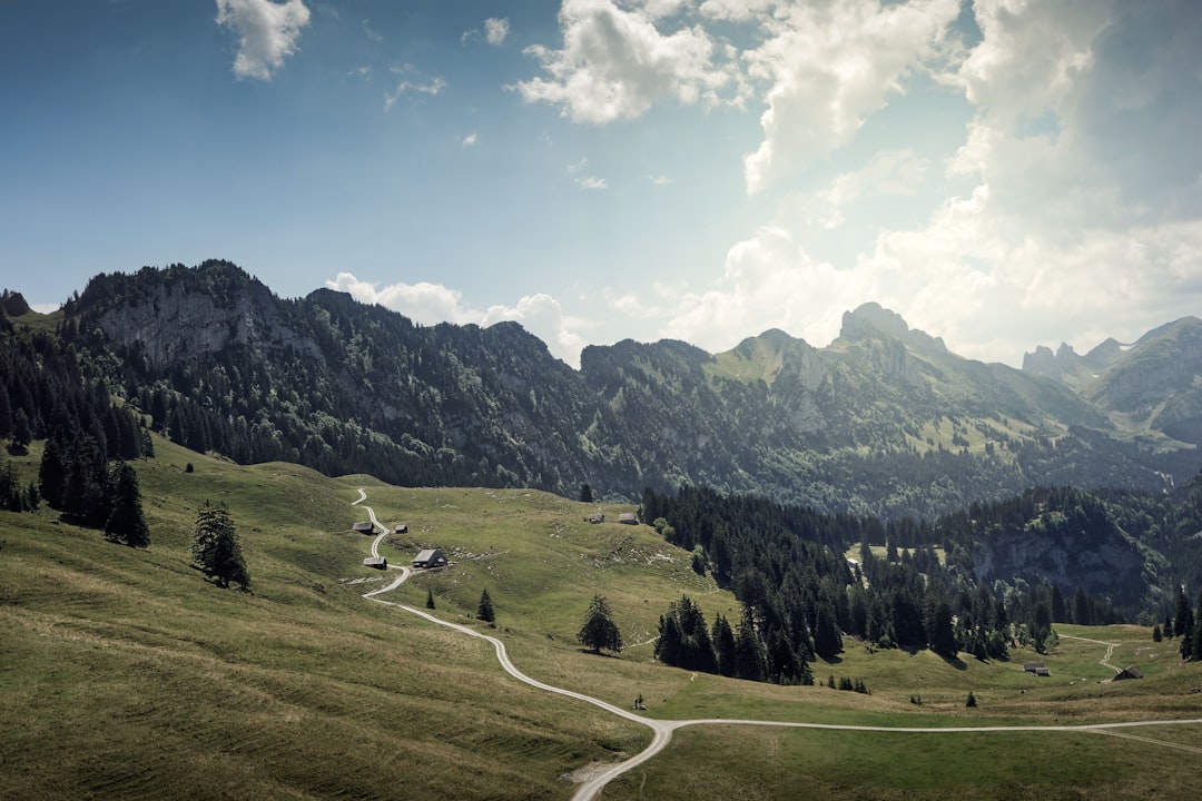 empty walkways by mountains,