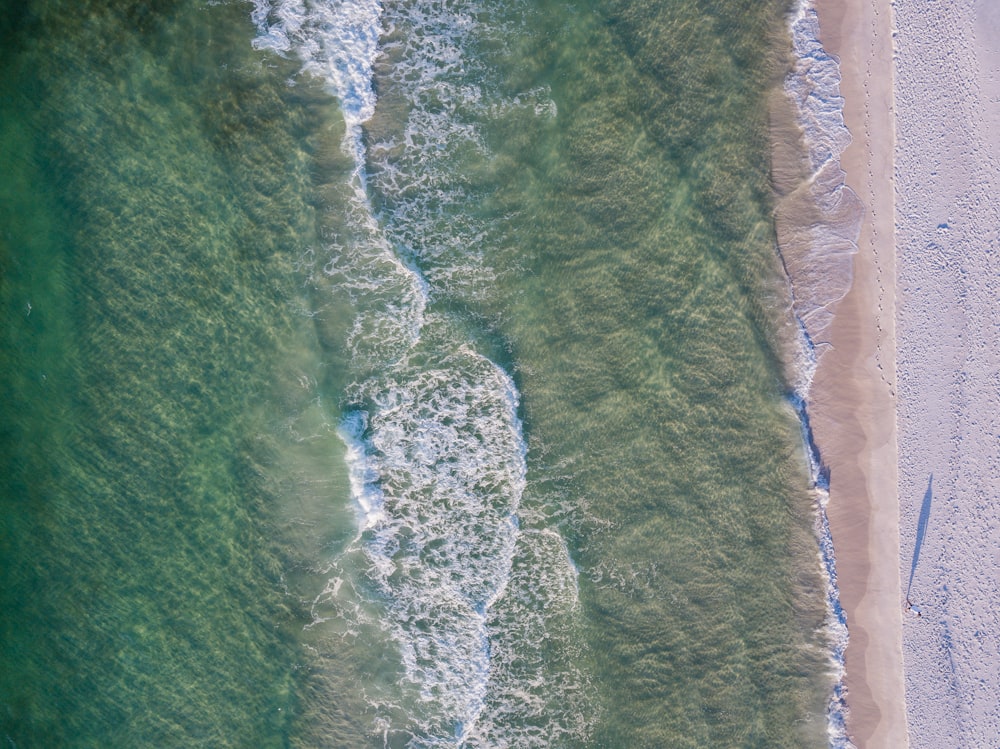 bird'eye view photography of forest near ocean