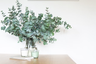 A delicate vase holding muted green eucalyptus branches resting on a warm white wooden table.