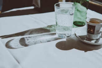 A sparkling glass of freshly filtered water catching sunlight on a clean countertop.