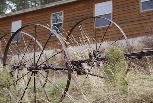 An old, rusted agricultural machinery with large metal wheels is situated in front of a wooden building. Tall, dry grass surrounds the machinery, adding to the rustic and abandoned atmosphere. The wooden building behind has several windows and blends with the rural setting.