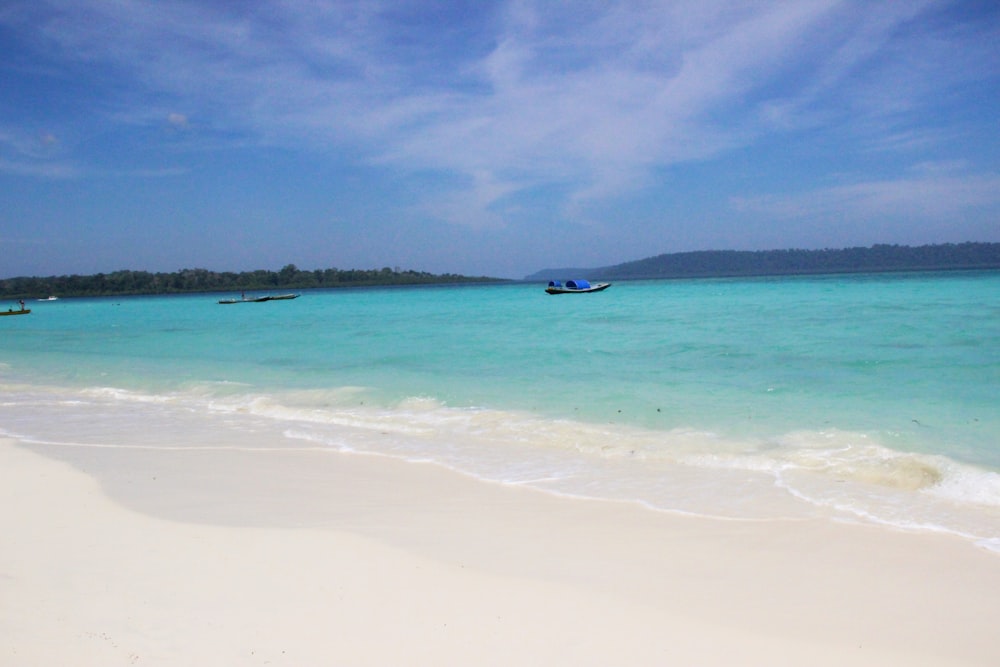 closeup photo of seashore during daytime