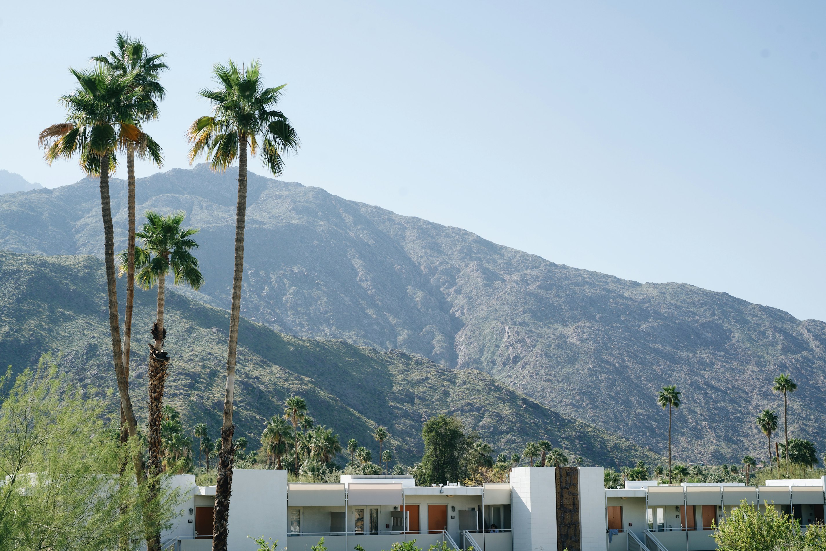View of Palm Springs California mountains with two palm trees
