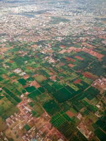 green grass field