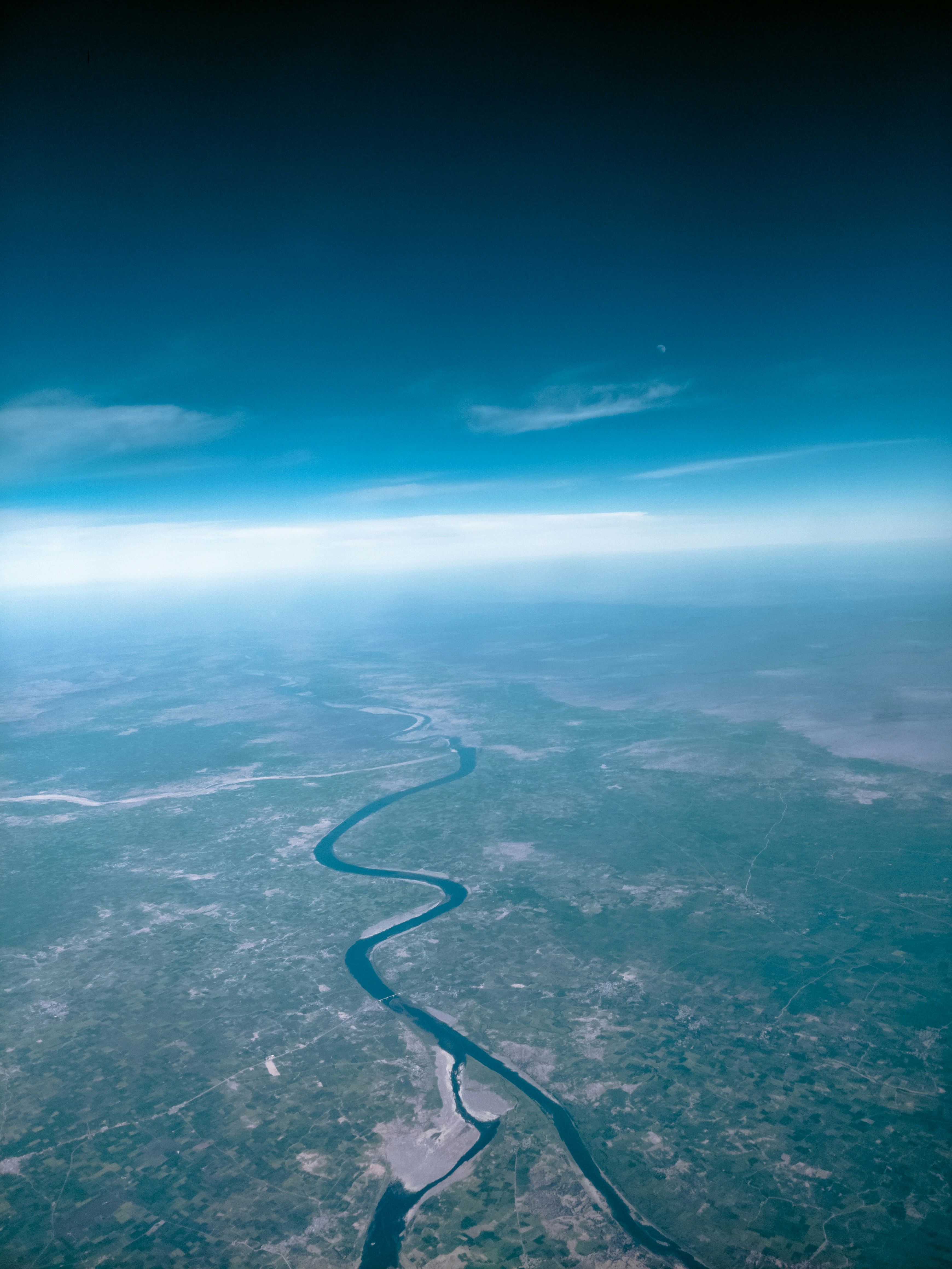 aerial photo of forest