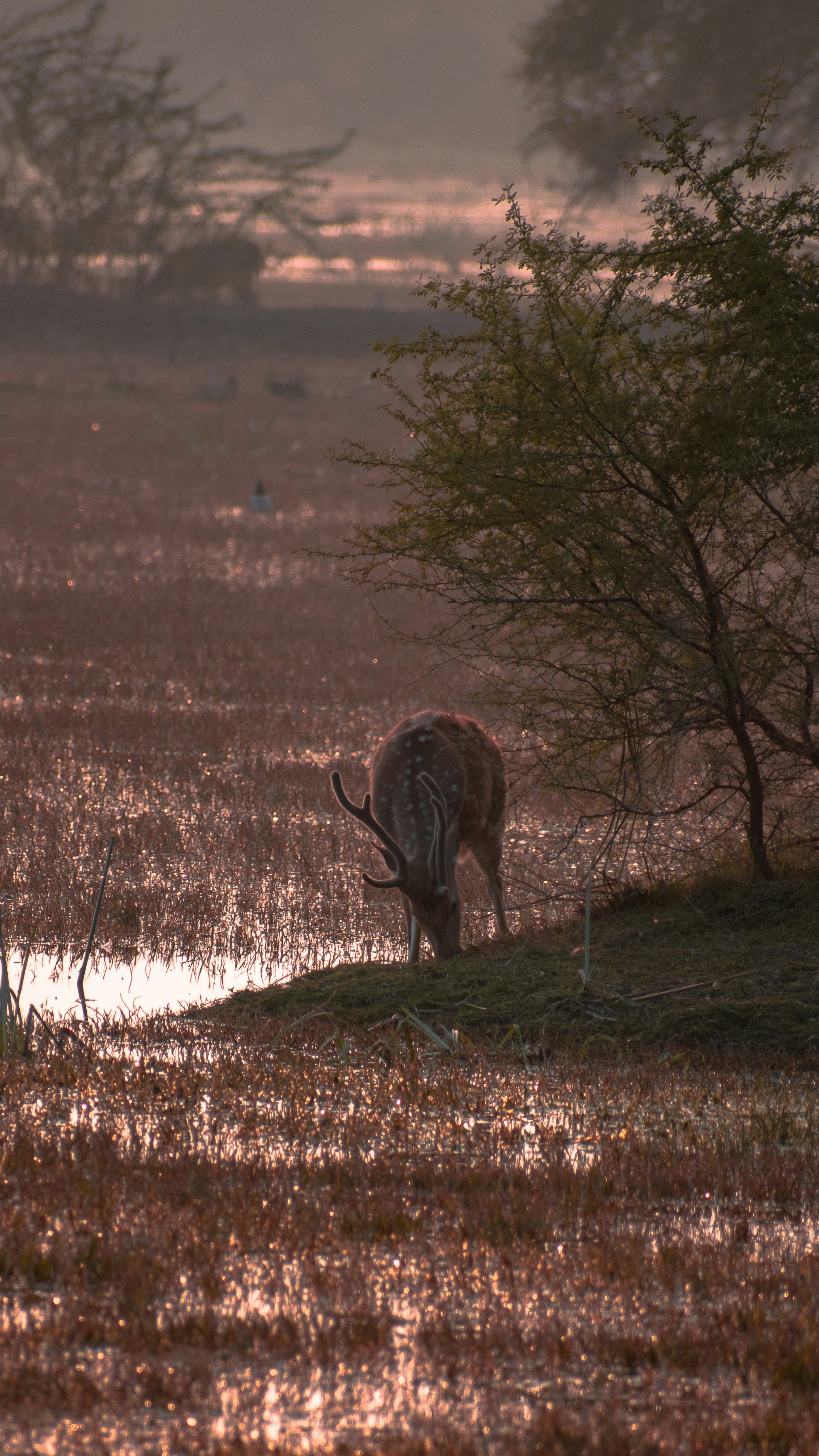 Photo by chirag14
