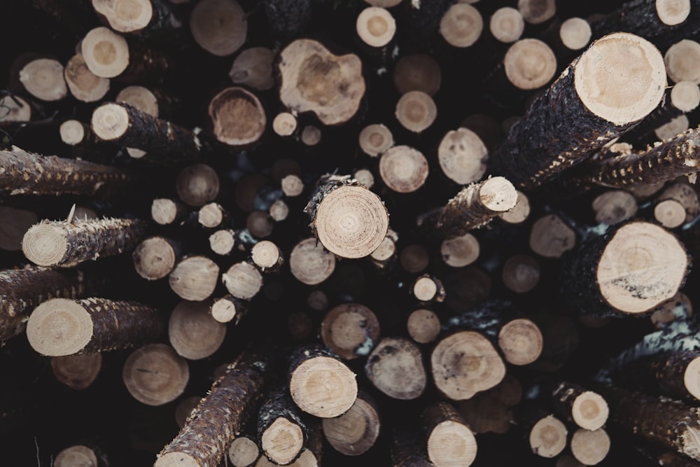 high angle photo of brown wood logs