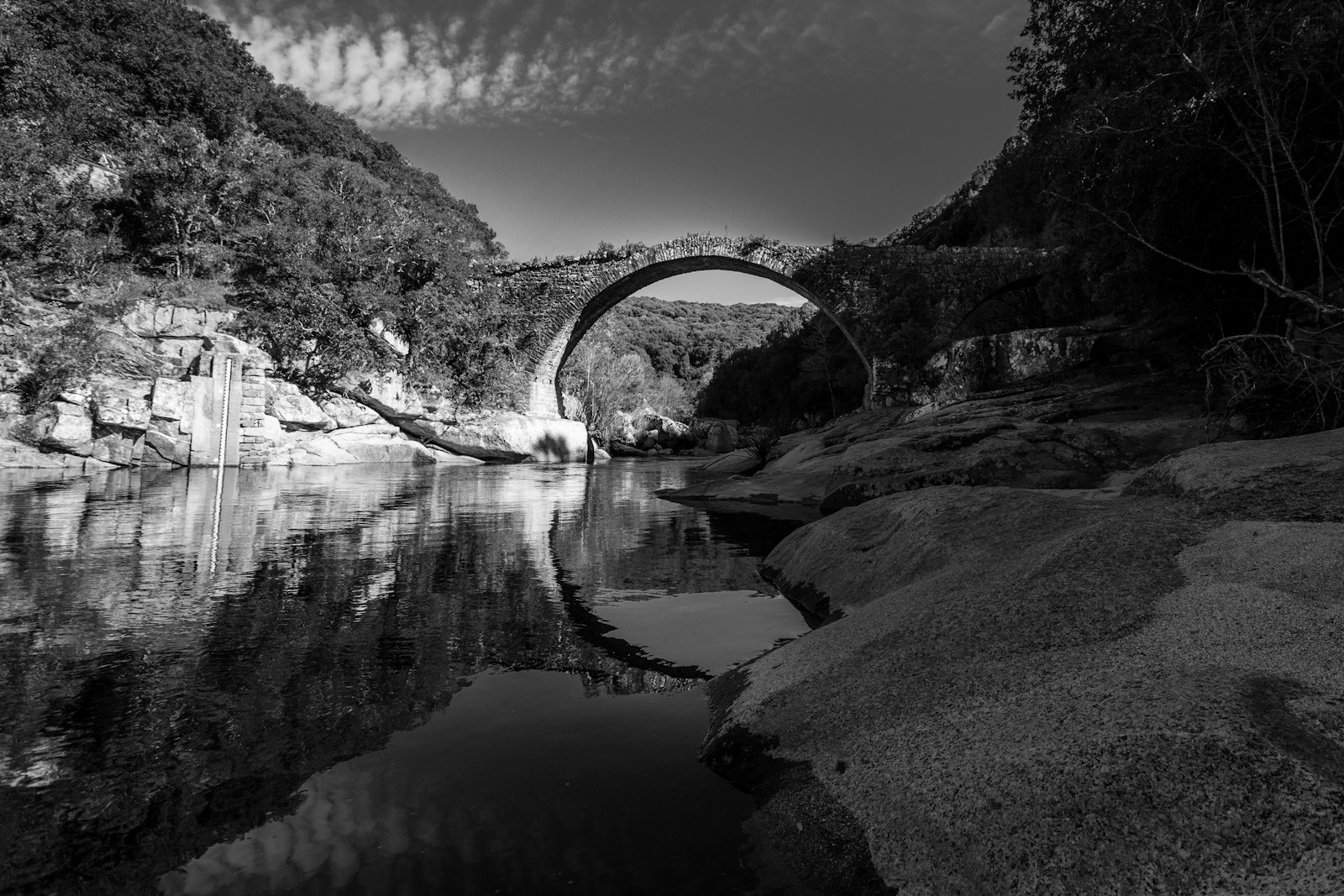 Canon EOS 5D Mark II + Canon EF 16-35mm F2.8L II USM sample photo. Grayscale photography of body photography