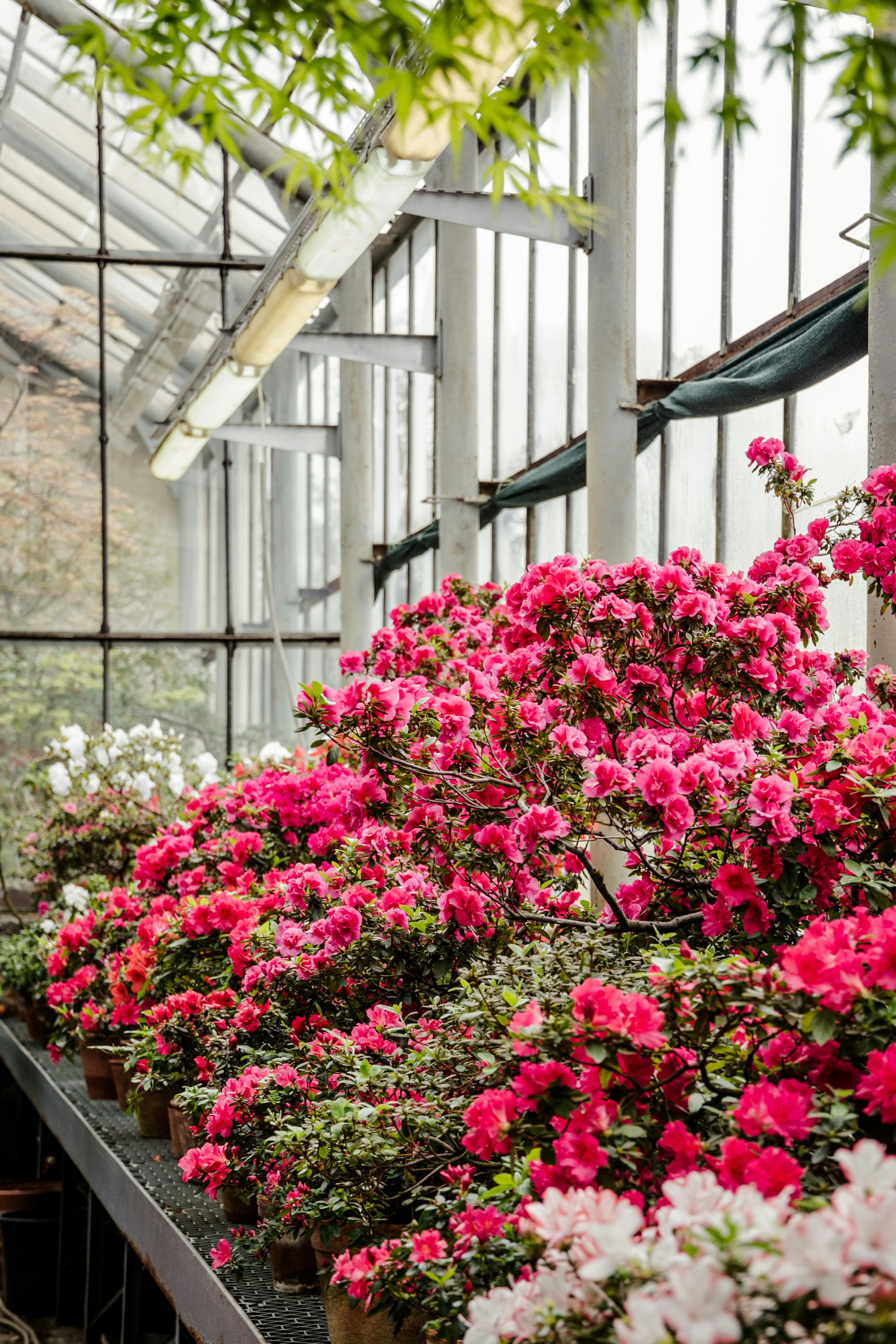 Photo by katerinalandia