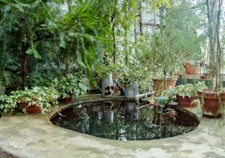 Малко езерце на покрита тераса в Батак, заобиколено от саксийни растения и градински декор.