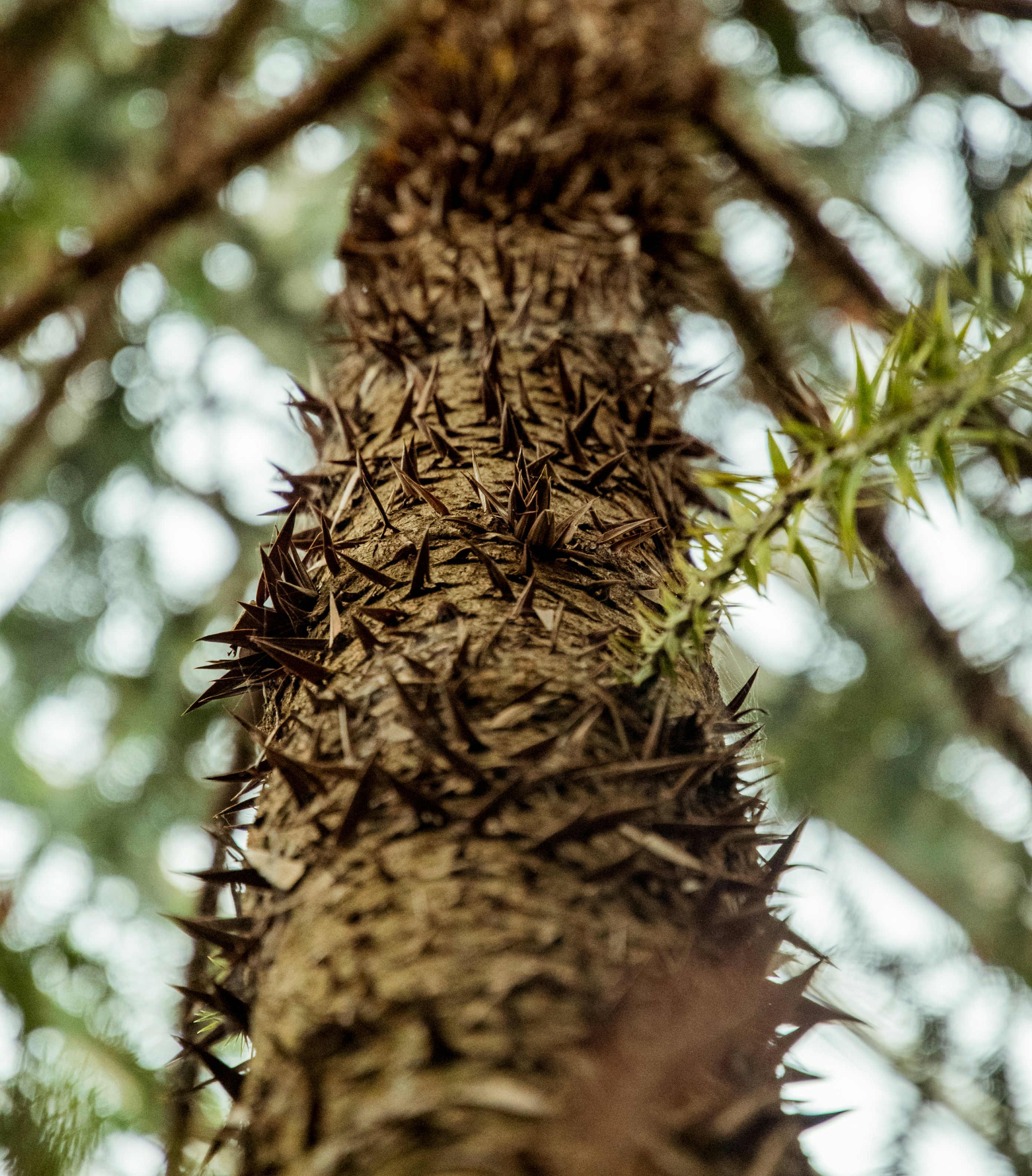 Photo by katerinalandia