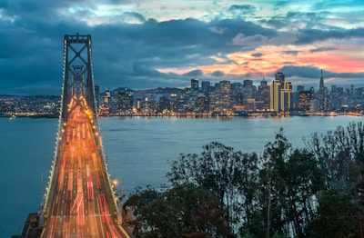 landscape photography of trees near ocean