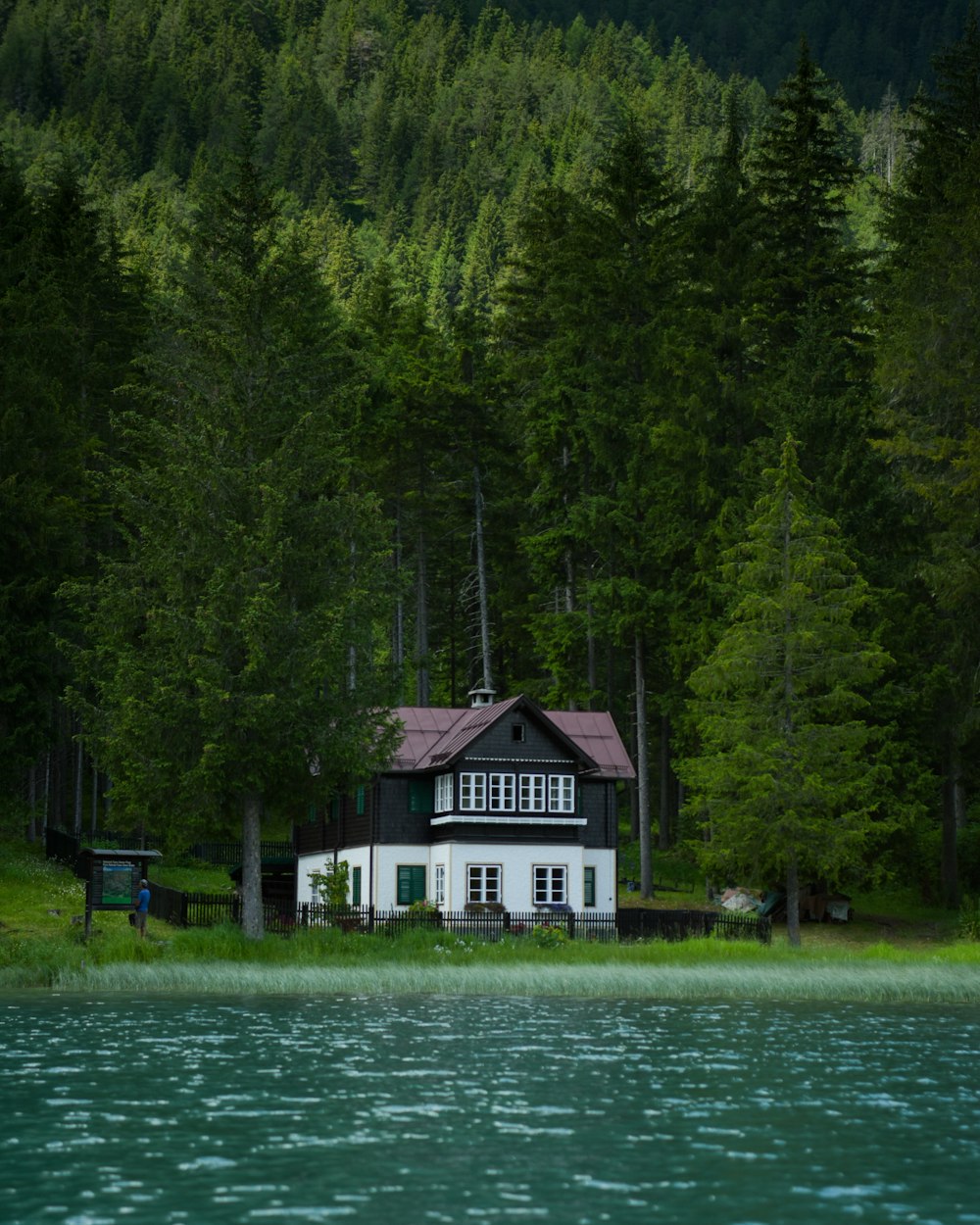 white and black 2-storey house near river