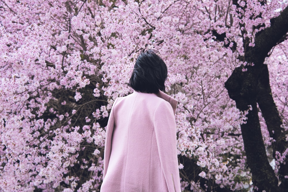 person wearing white jacket facing on blooming pink cherry blossoms