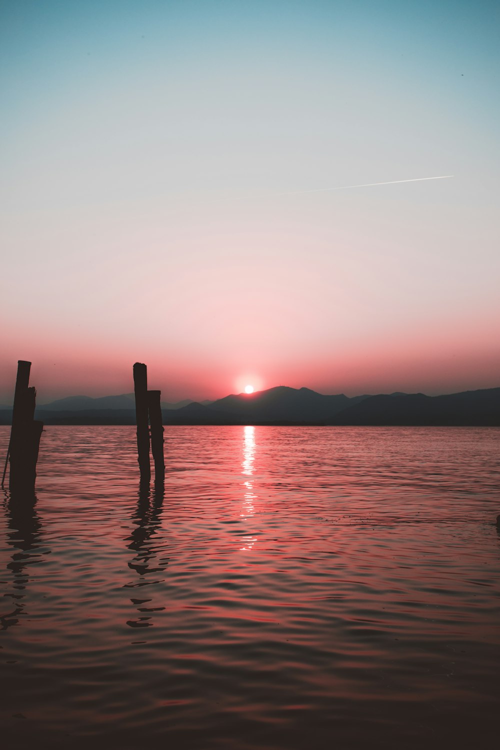 silhouette of posts on water