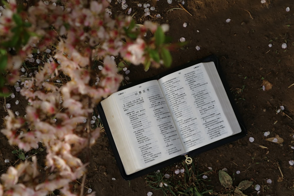 flat lay photography of an open book under a flowering plant