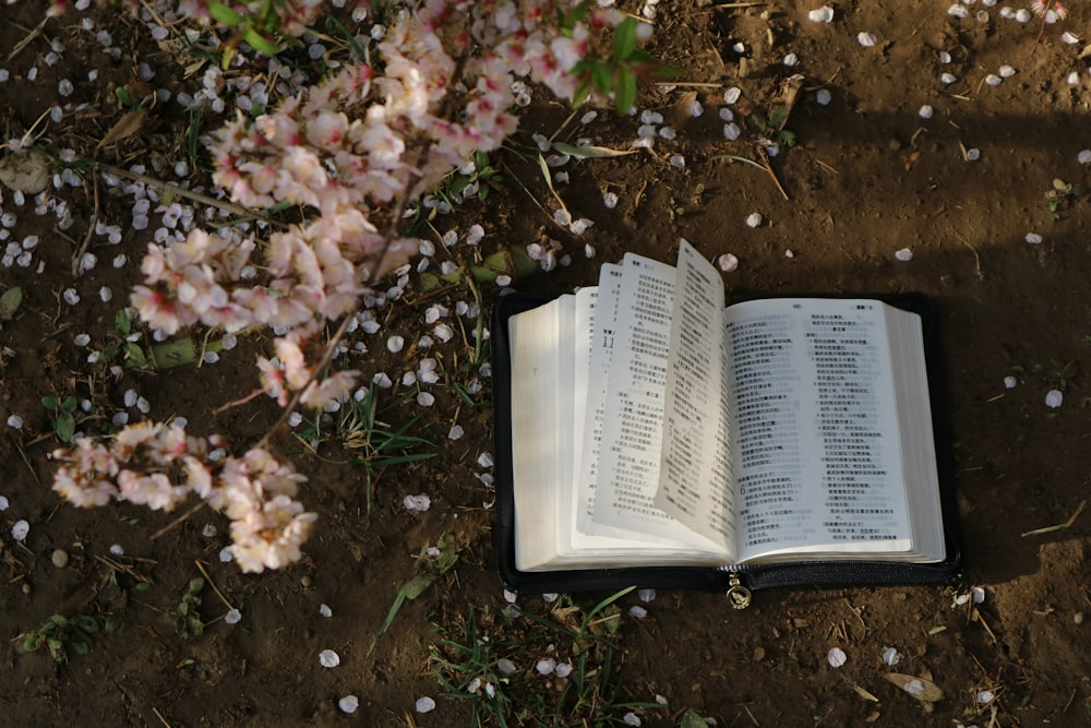 opened book and flowers on ground