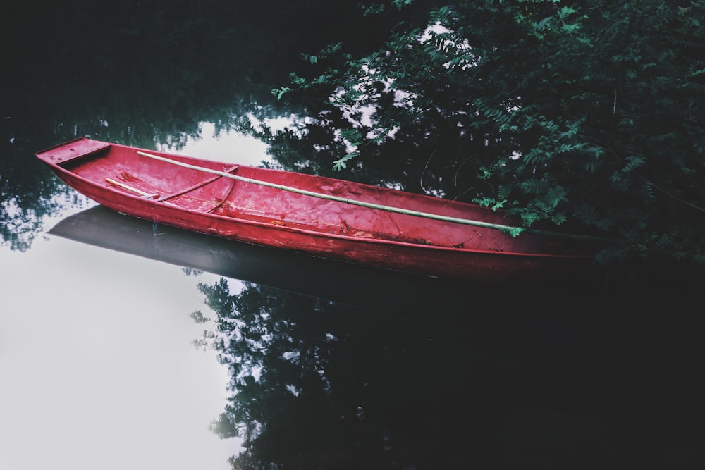 red canoe with no people near plant