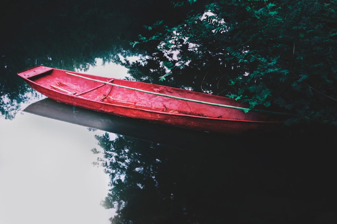 red canoe with no people near plant