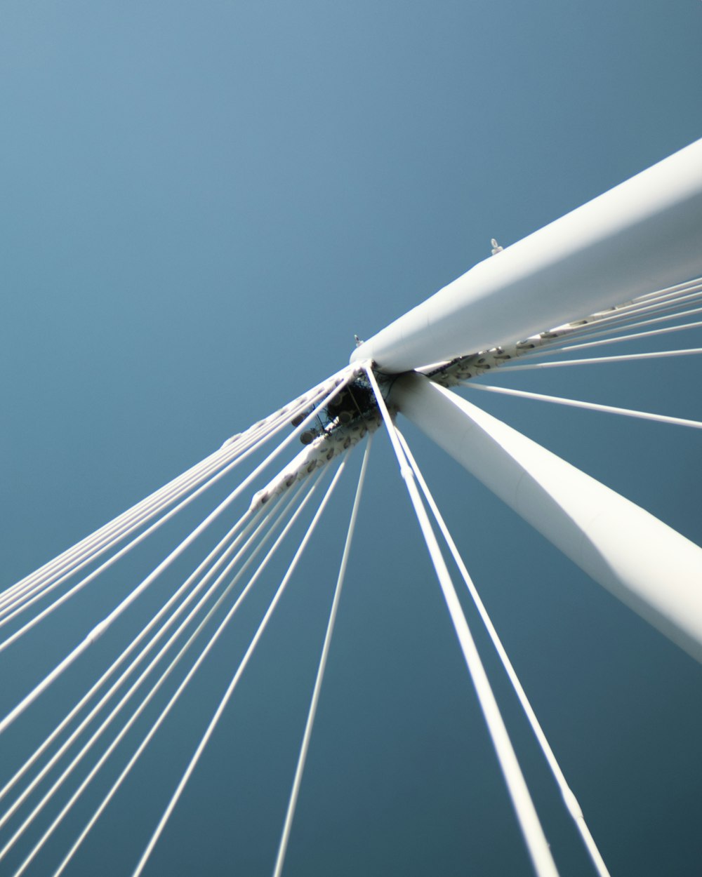 low-angle photography of white Ferris Wheel