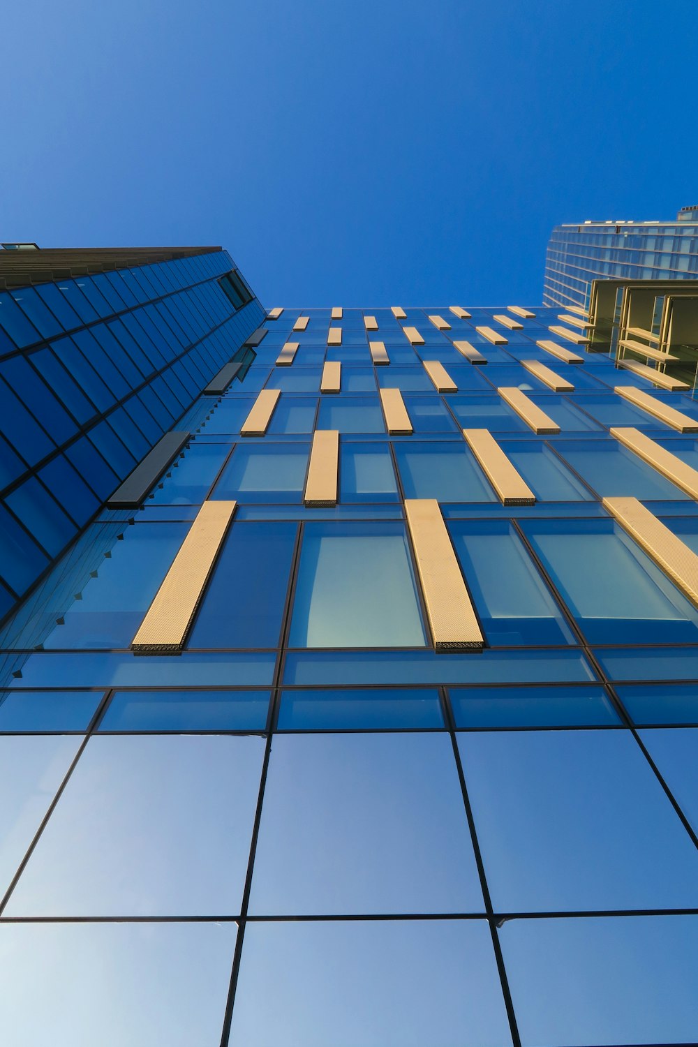 Fotografía de ángulo bajo de un edificio de vidrio azul
