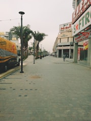 people walking on the pathway