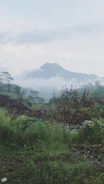 A serene landscape of Reunion Island symbolizing resilience and cultural depth.
