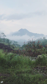 A serene landscape of Reunion Island symbolizing resilience and cultural depth.