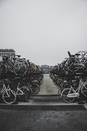 Sustainability highlighted by intensive use of alternative transport, bicycles