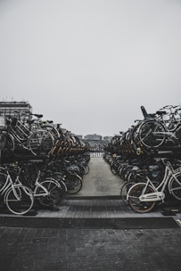 Sustainability highlighted by intensive use of alternative transport, bicycles