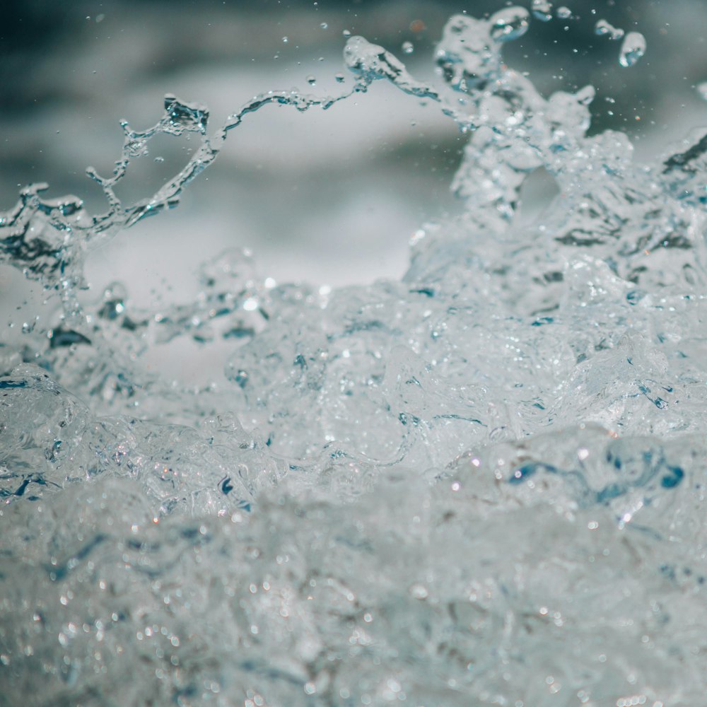 fotografía de primer plano de agua clara