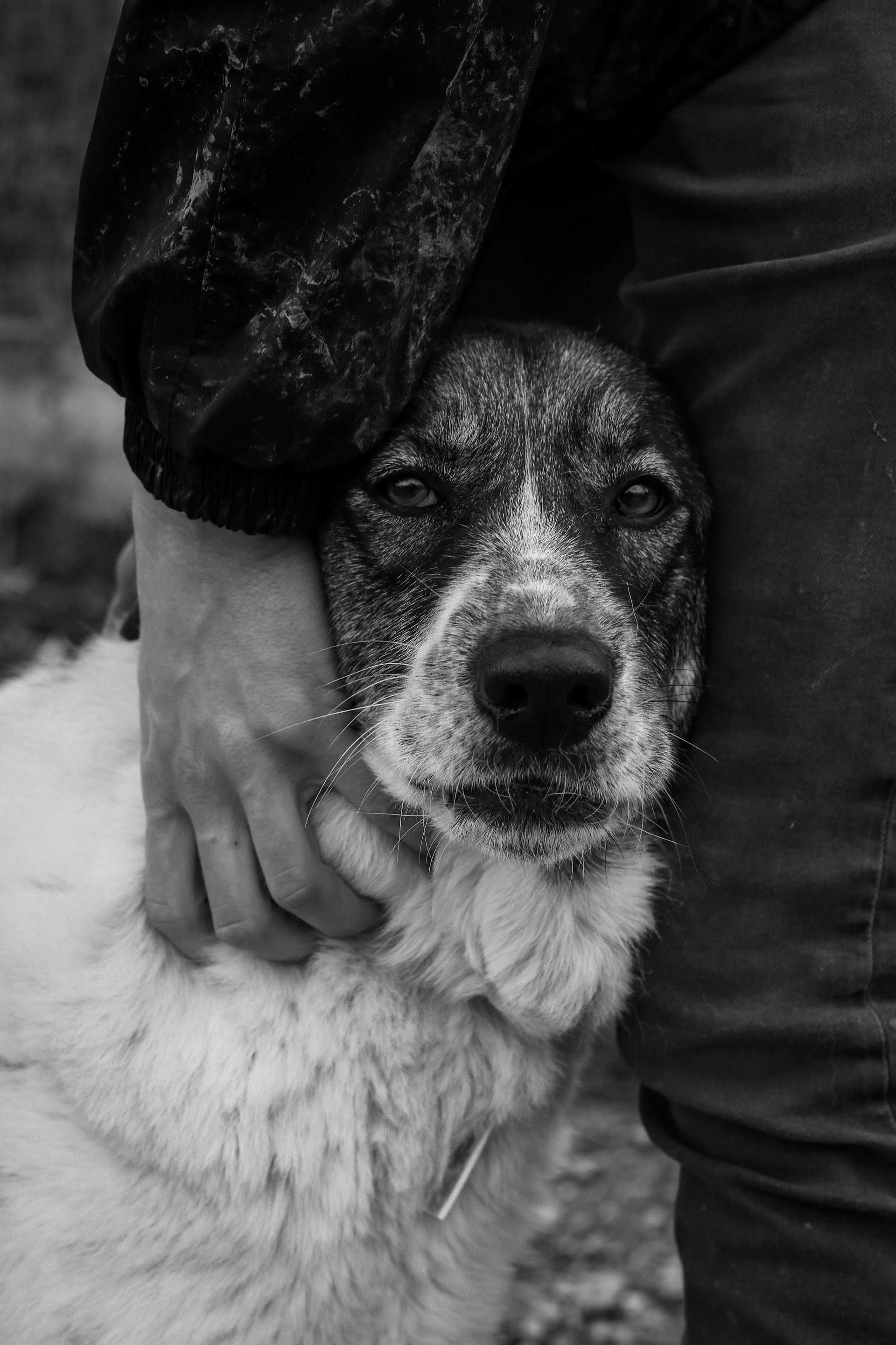 black and white bed linen