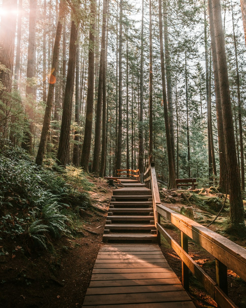 brown wooden staircase